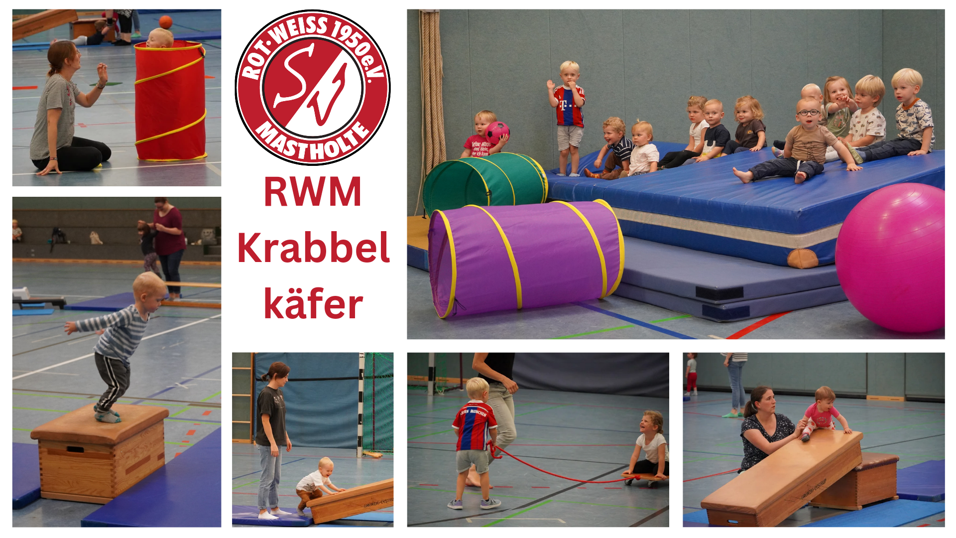 RWM Krabbelkäfer